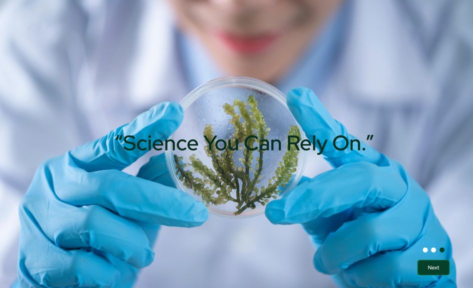 MelaDetect screenshot 4